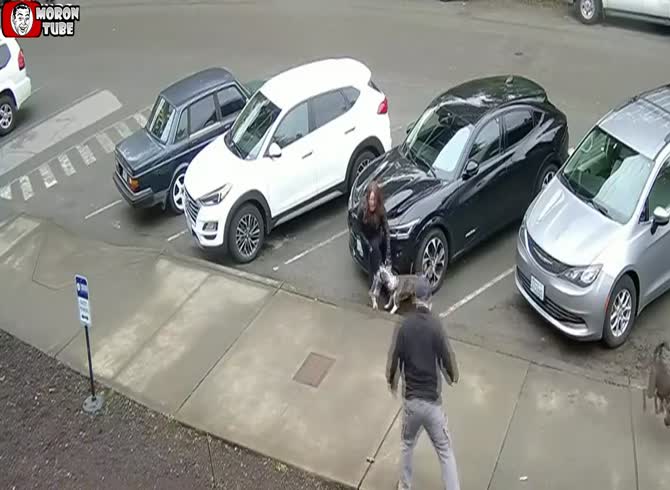 Video :Pit bulls assault a woman, and the master is really pathetic